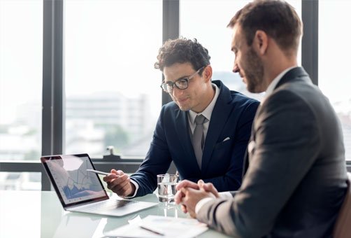 Auditors in DSO
