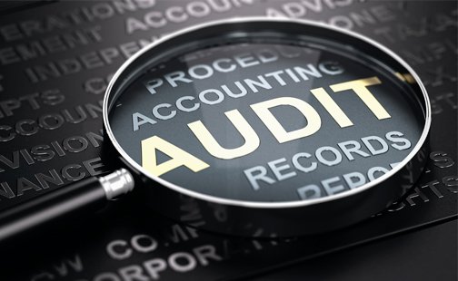 Information System Audit