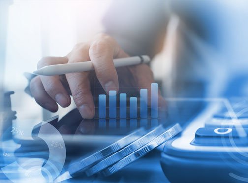 Auditors in DSO