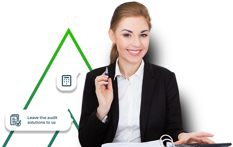 auditing banner img