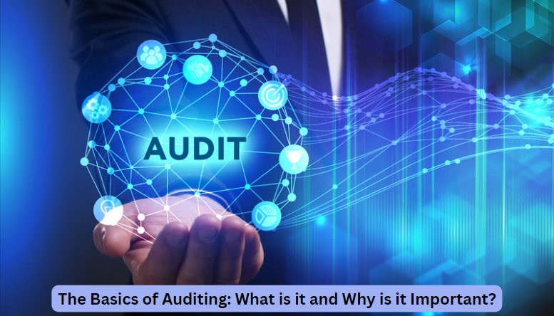 The Basics of Auditing What is it and Why is it Important