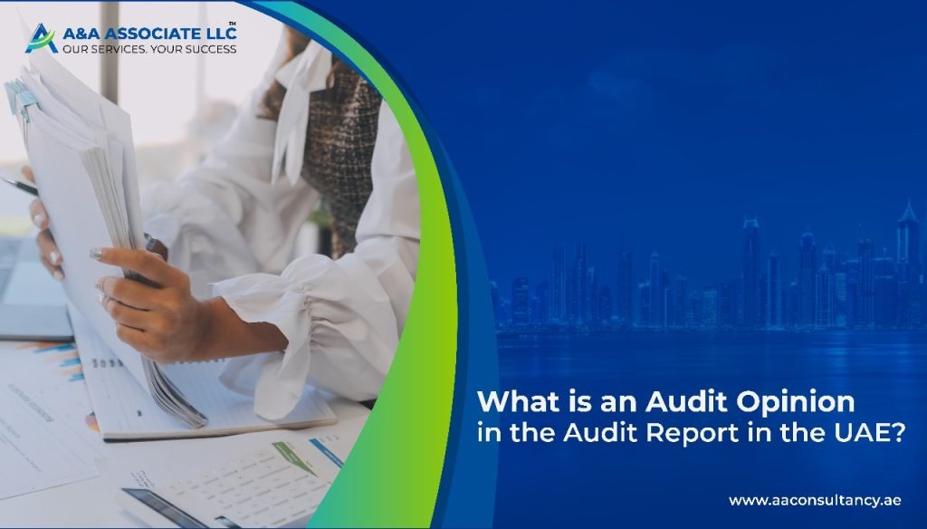What is an Audit Opinion in the Audit Report in the UAE?